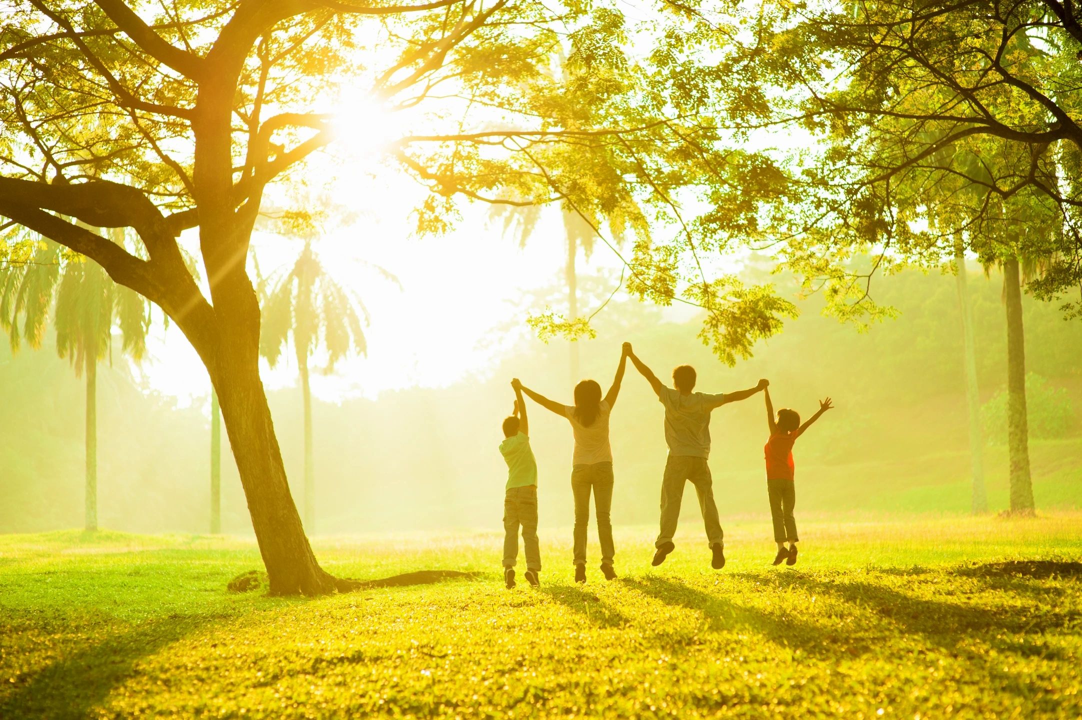 Children jumping in a sunlit park — Behavioral Health